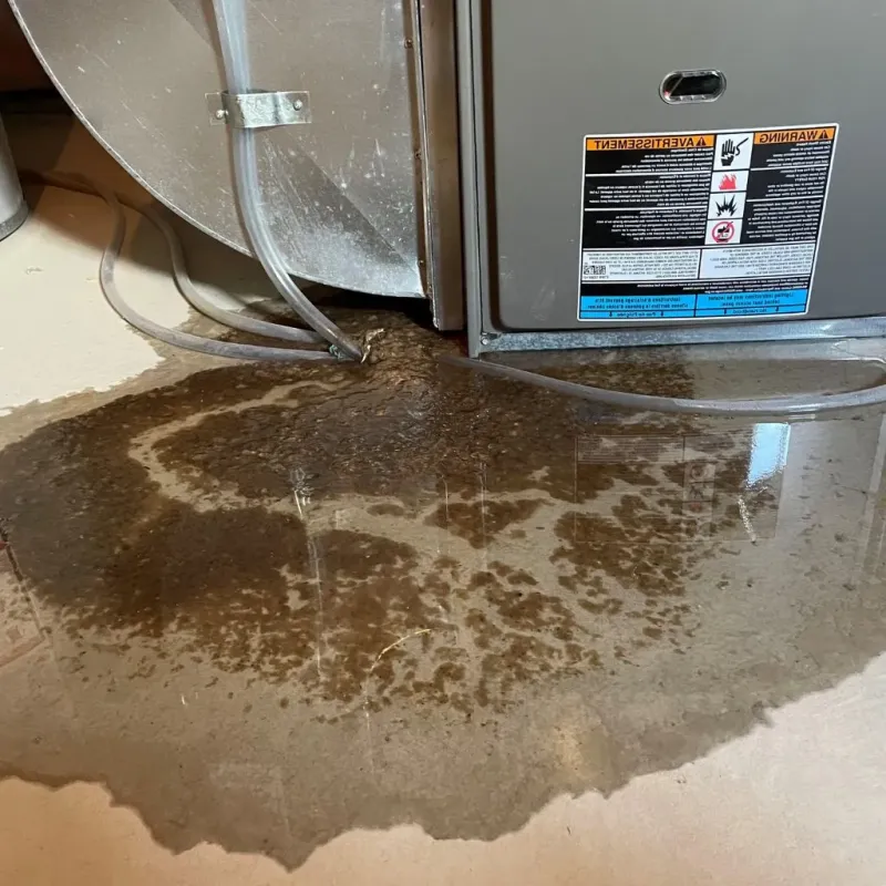 Pipe Burst and Leak Restoration in Holt County, NE