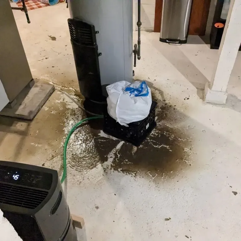 Sewage Backup Cleanup Service in Holt County, NE